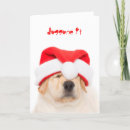 Search for yellow lab christmas cards Dog