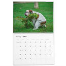 Search for funny dog calendars Dogs