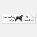 Search for mountaineering bumper stickers Berner