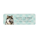 Search for alaskan malamute return address labels Husky