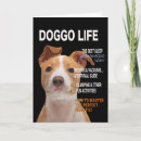 Search for pitbull cards Dogs