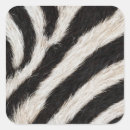 Search for white fur stickers Zebra