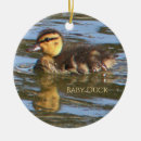 Search for photograph christmas tree decorations Animals