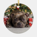 Search for staffy christmas tree decorations Dog