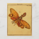 Search for entomology postcards Butterfly
