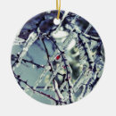Search for frozen christmas tree decorations Ice
