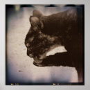 Search for film art Photography