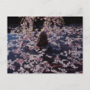 Search for floating flower postcards Water
