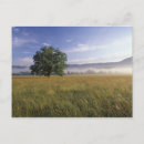 Search for public land postcards Fog