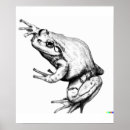 Search for frog and art Asian