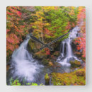 Search for waterfall clocks Landscape