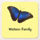 Search for tropical butterfly coasters Wildlife