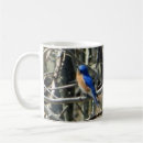 Search for eastern bluebird mugs Animal