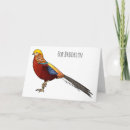 Search for pheasants cards Golden pheasant