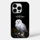 Search for snowy owl cases Bird of prey