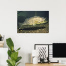 Search for walleye art Pike
