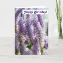 Search for soft floral birthday cards Beautiful