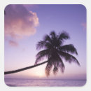 Search for coconut tree stickers Vacation