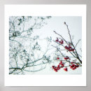 Search for cherry blossom posters Sakura