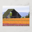 Search for north america postcards Ie