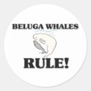 Search for beluga whale crafts party Whales