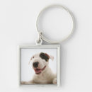 Search for bull head key rings Animal body part