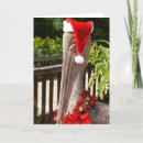 Search for pelican christmas cards Tropical