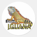Search for pet reptile stickers Wild
