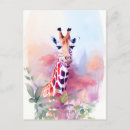 Search for two giraffe postcards Safari