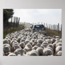 Search for herd posters Outdoors