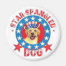 Search for 4 star magnets 4th of july