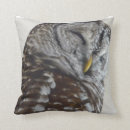 Search for barn owl cushions Nocturnal