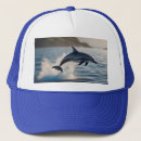 Search for leaping hats Dolphin