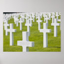 Search for group of objects posters Abundance