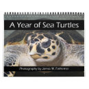 Search for turtle calendars Ocean
