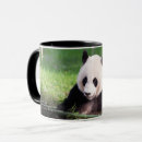 Search for giant panda mugs Photography