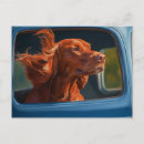 Search for wall decoration postcards Dog lover
