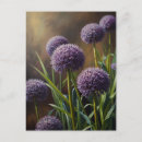 Search for allium postcards Purple flowers