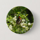 Search for floral cas badges California