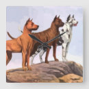 Search for great dane clocks Pets