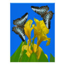Search for clipper posters Butterflies