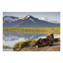 Search for paul souders posters Wilderness