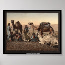Search for camel desert posters Camels