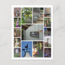 Search for green environment postcards Plant