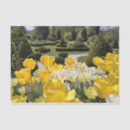 Search for exhibition photography Yellow tulip flowers