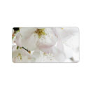 Search for blooming cherry tree return address labels Blossom