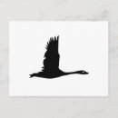 Search for wild birds horizontal postcards Flying