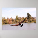Search for hunting hunter posters Duck