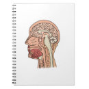 Search for human anatomy notebooks Brain