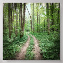 Search for walking path posters Nature